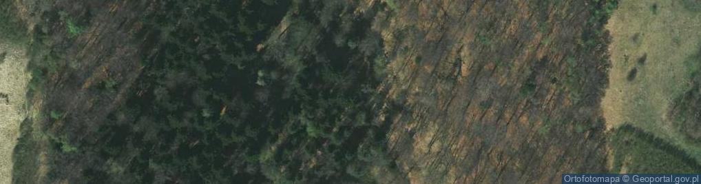 Zdjęcie satelitarne Młynnik ul.