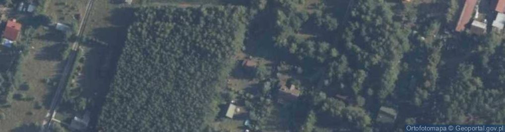 Zdjęcie satelitarne Modrzewiowa ul.