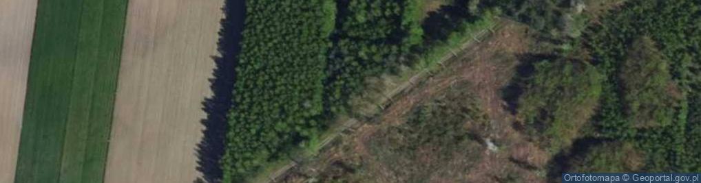 Zdjęcie satelitarne Modrzewiowa ul.