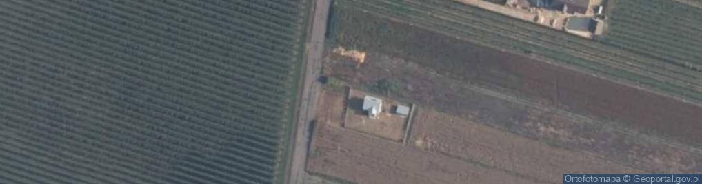 Zdjęcie satelitarne Mocarzewo ul.
