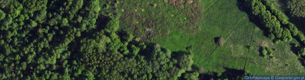 Zdjęcie satelitarne Mrągowska ul.