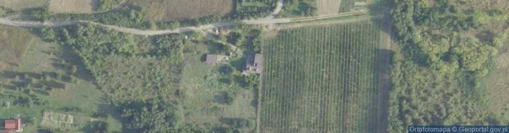 Zdjęcie satelitarne Mychów ul.