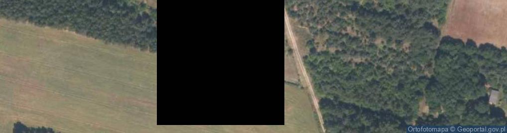Zdjęcie satelitarne Myśliwczów Kolonia ul.