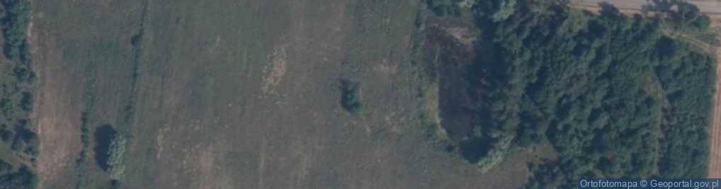 Zdjęcie satelitarne Mysłownia Nowa ul.