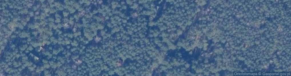 Zdjęcie satelitarne Myszki Miki ul.