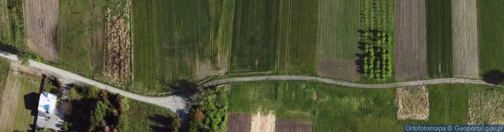 Zdjęcie satelitarne Nadbzurzańska Dolna ul.