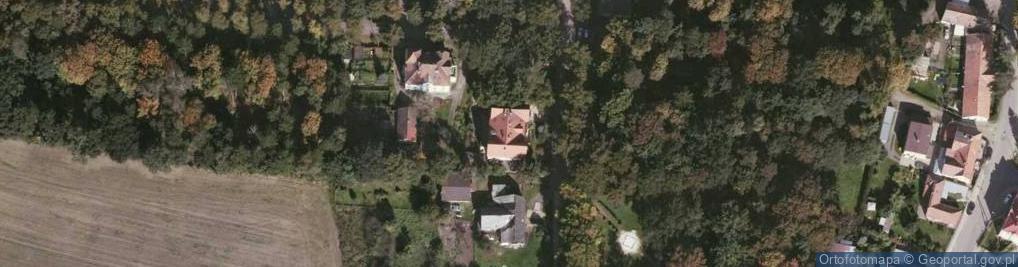 Zdjęcie satelitarne Narutowicza Gabriela, prezydenta ul.