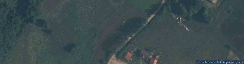 Zdjęcie satelitarne Niedźwiedzia ul.