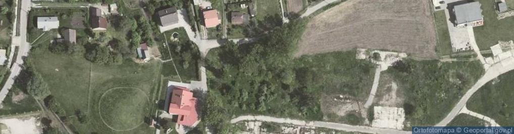 Zdjęcie satelitarne Niewielka ul.