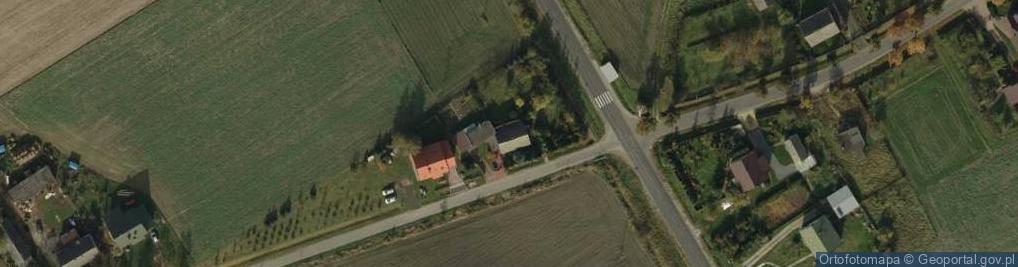 Zdjęcie satelitarne Nieborzyn ul.
