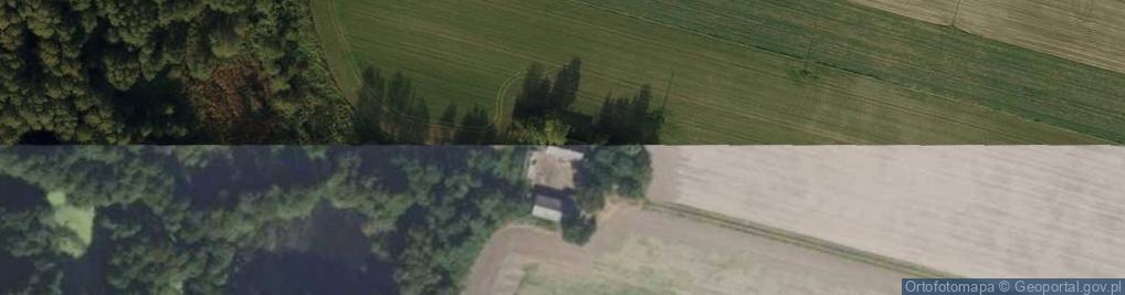 Zdjęcie satelitarne Nieborzyn-Kolonia ul.
