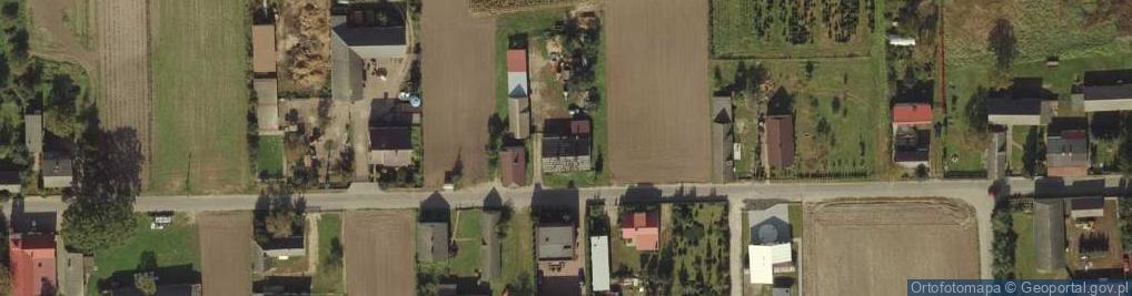 Zdjęcie satelitarne Niedźwiady Duże ul.