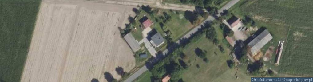 Zdjęcie satelitarne Niemojewiec ul.