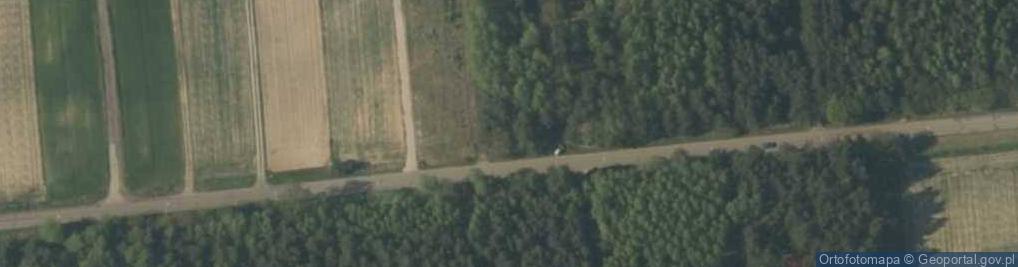 Zdjęcie satelitarne Niesułków-Kolonia ul.