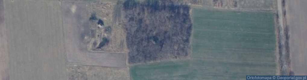 Zdjęcie satelitarne Niwki ul.