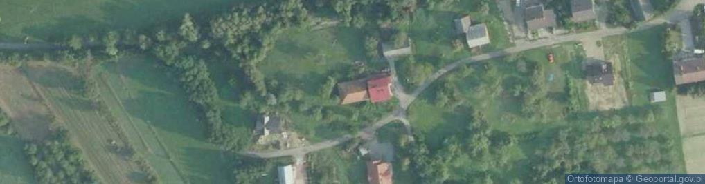 Zdjęcie satelitarne Niżowa ul.