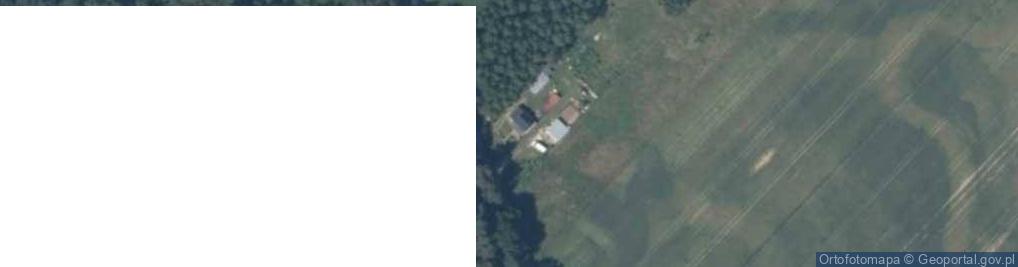 Zdjęcie satelitarne Niwy ul.