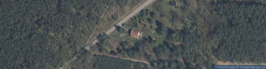 Zdjęcie satelitarne Niedas Trzciniec ul.