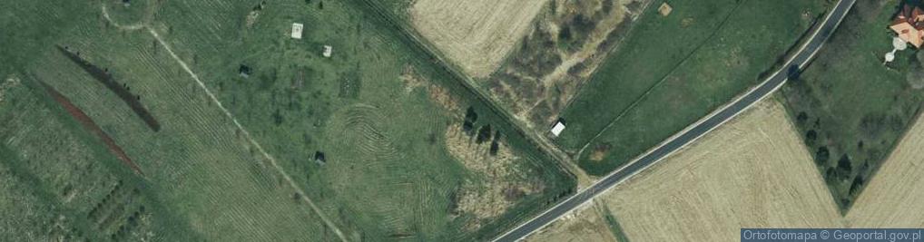 Zdjęcie satelitarne Niecała ul.