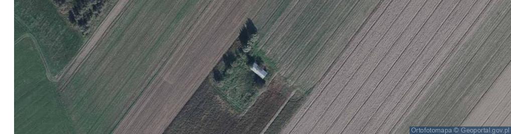 Zdjęcie satelitarne Nowa Prawda ul.