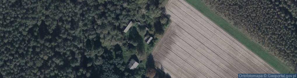 Zdjęcie satelitarne Nowa Prawda ul.