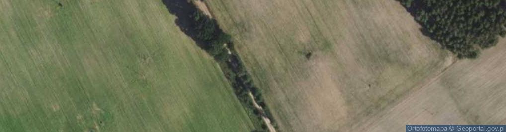Zdjęcie satelitarne Nowa Róża ul.