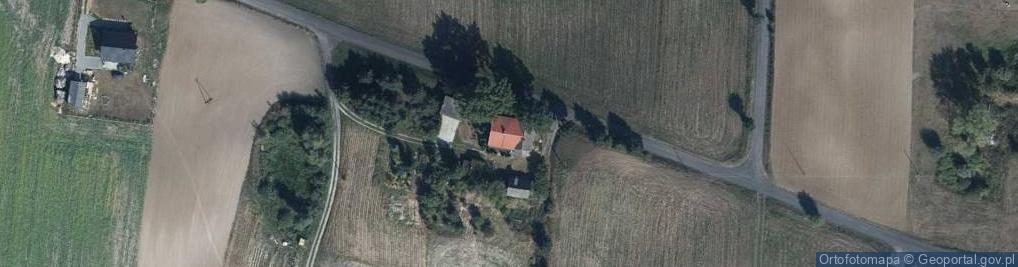Zdjęcie satelitarne Nowa Wieś Królewska ul.