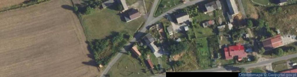 Zdjęcie satelitarne Nowa Wieś Niechanowska ul.