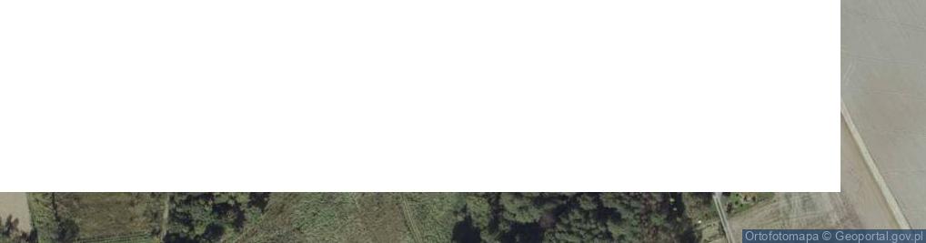 Zdjęcie satelitarne Nowa Wieś ul.