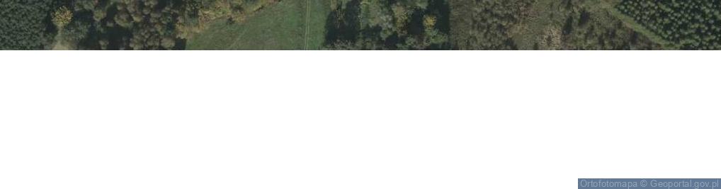 Zdjęcie satelitarne Nowa Wieś ul.