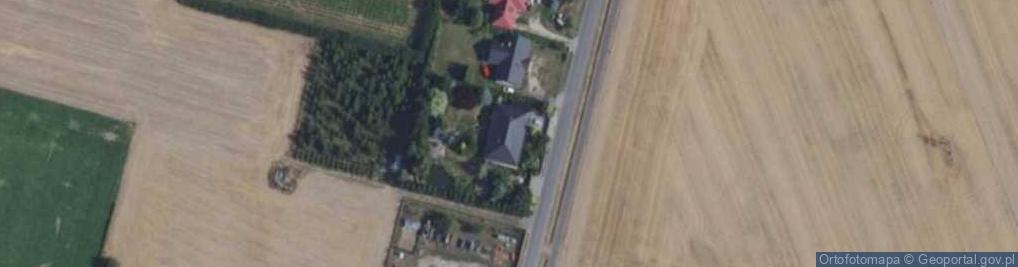 Zdjęcie satelitarne Nowe Borówko ul.