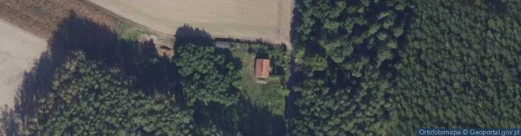 Zdjęcie satelitarne Nowe Brzeźno ul.