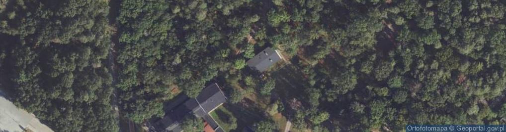 Zdjęcie satelitarne Nowe Czarnowo ul.