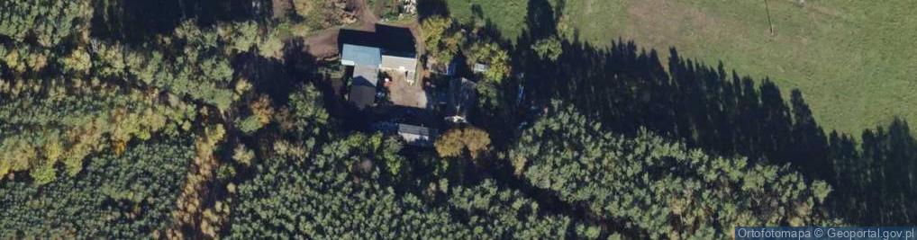 Zdjęcie satelitarne Nowe Dąbie ul.