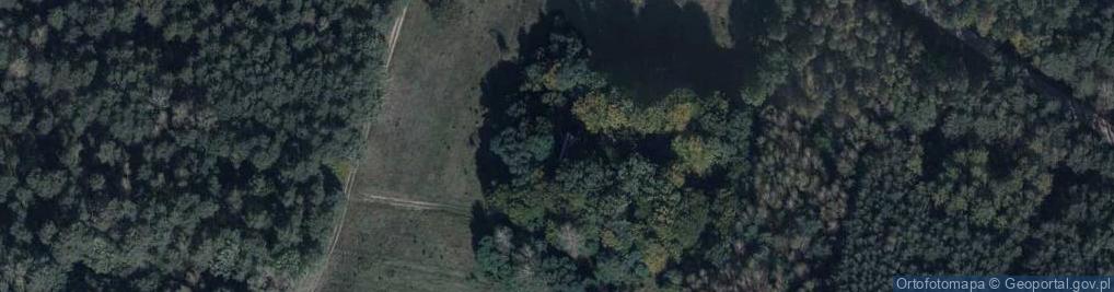 Zdjęcie satelitarne Nowe Kobiałki ul.