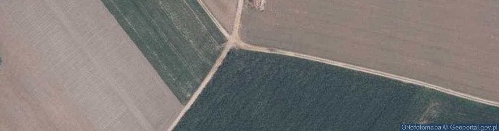 Zdjęcie satelitarne Nowe Kowalewo ul.