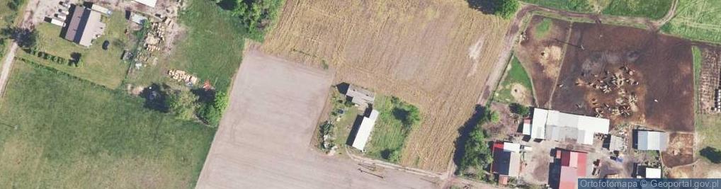 Zdjęcie satelitarne Nowe Polichno ul.