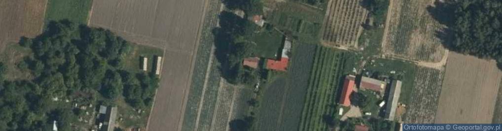 Zdjęcie satelitarne Nowe Radzikowo ul.