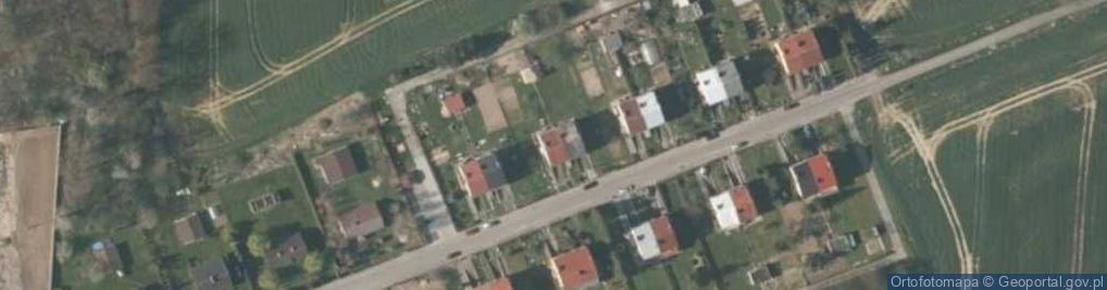 Zdjęcie satelitarne Nowe Sady ul.
