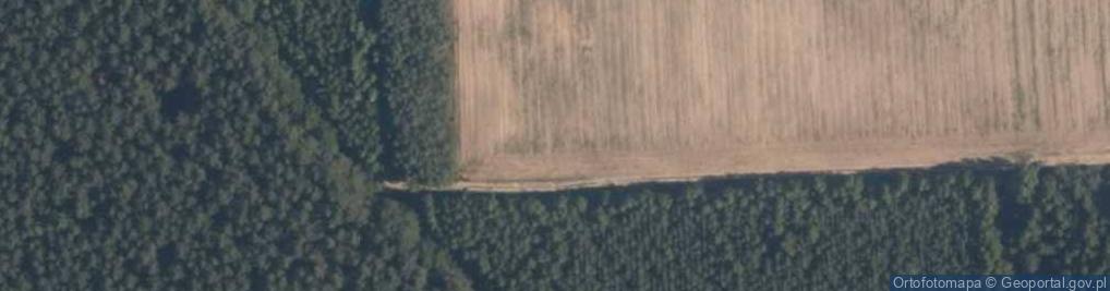 Zdjęcie satelitarne Nowe Studzianki ul.