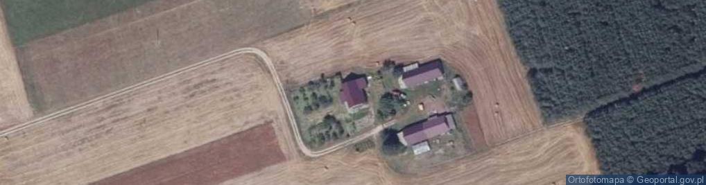 Zdjęcie satelitarne Nowowola ul.