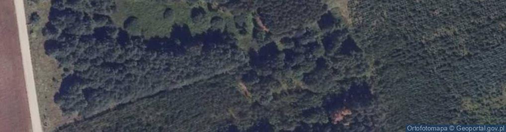 Zdjęcie satelitarne Nowowola ul.
