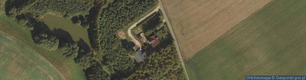 Zdjęcie satelitarne Nowy Działyń ul.