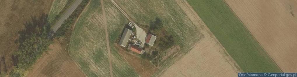 Zdjęcie satelitarne Nowy Działyń ul.