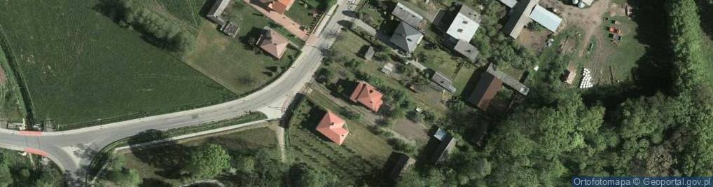 Zdjęcie satelitarne Nowy Dzikowiec ul.