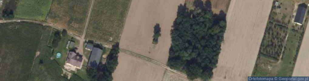 Zdjęcie satelitarne Nowy Karolew ul.