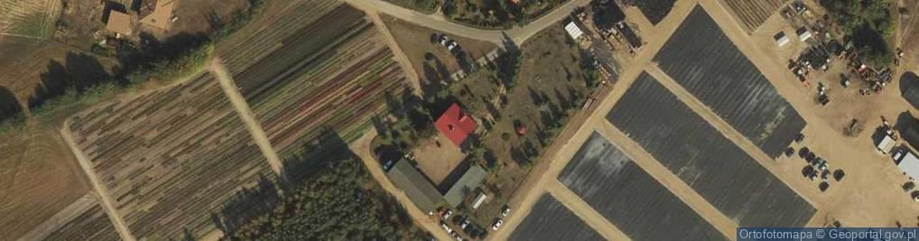 Zdjęcie satelitarne Nowy Kobrzyniec ul.