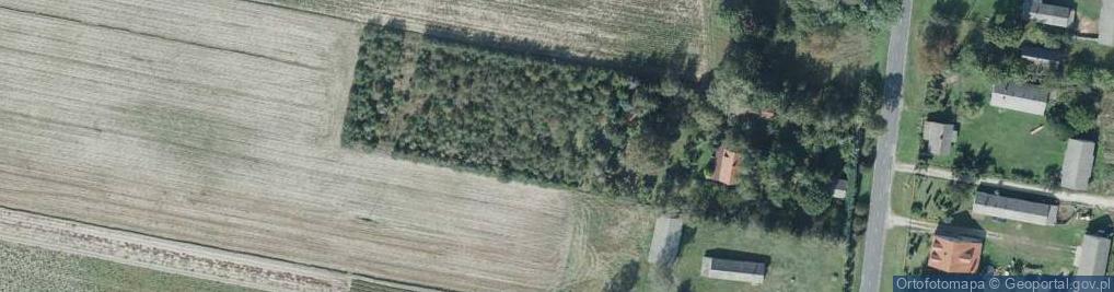 Zdjęcie satelitarne Nowy Orzechów ul.