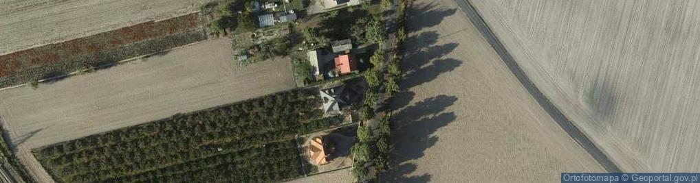 Zdjęcie satelitarne Nowy Zbrachlin ul.