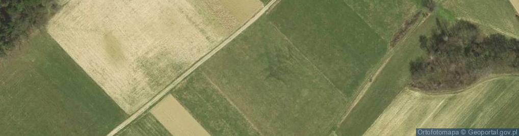 Zdjęcie satelitarne Nowa Wieś ul.